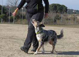 Juego con la familia